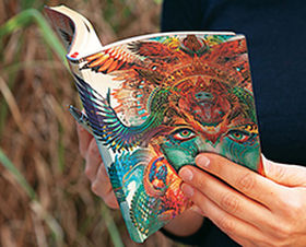 Paperblanks Flexi Softcover Diaries
