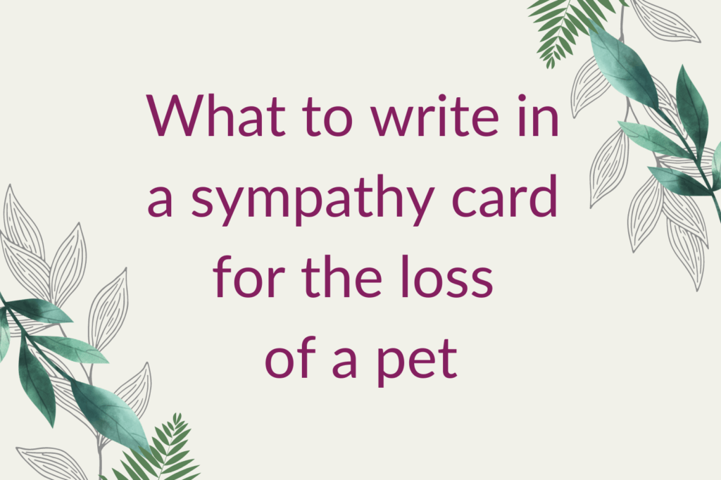 Purple text that says 'What to write in a sympathy card for the loss of a pet', alongside green foliage