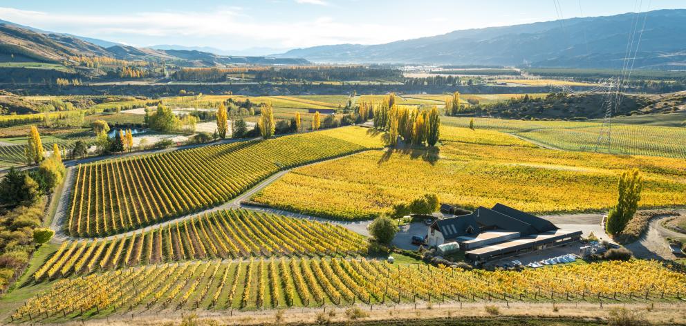 Felton Road winery, Bannockburn.