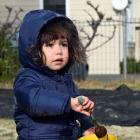 Kamaia Shaw, 2, whips up a mud cake. PHOTOS: LINDA ROBERTSON