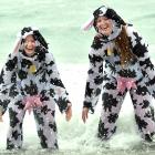 Dressed as cows Georgia Brown, 20, left, and Olivia Andrew, 21, splash in the surf. PHOTOS: PETER...