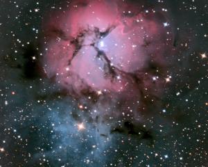 The Trifid Nebula is a vast reservoir of dust and gas. Photo: Ian Griffin